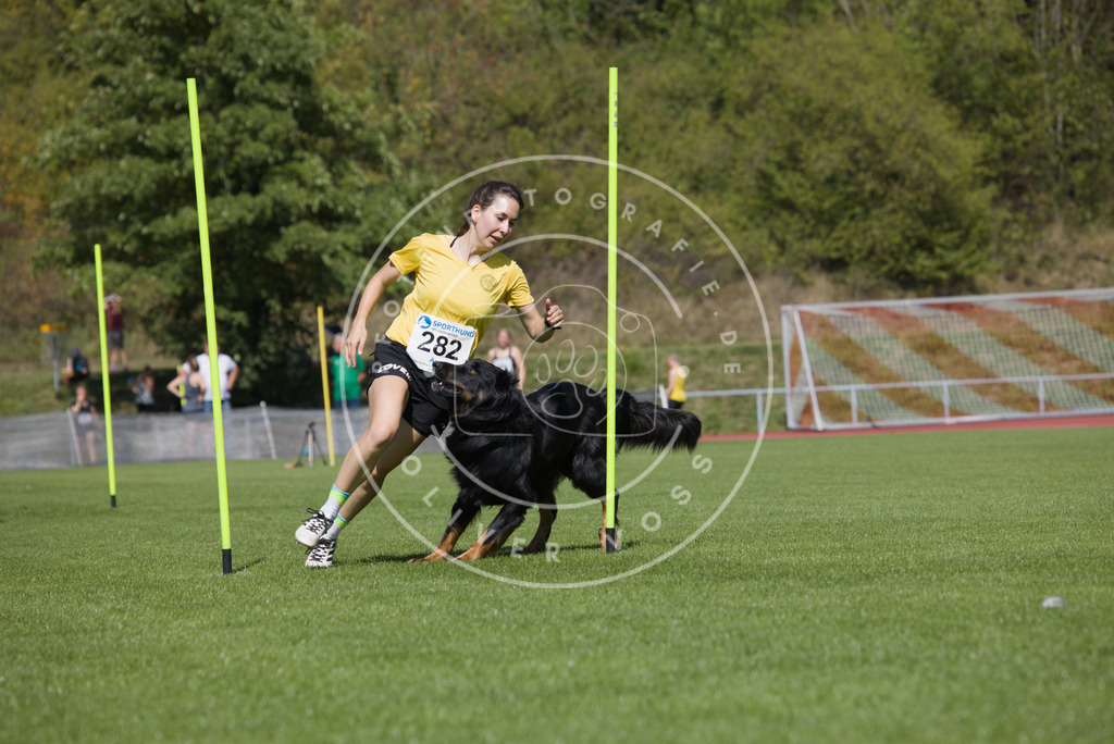 0L8A6861 | Hundefotografie, Tierfotograf, Pfotenfotografie, Fotoshooting Hund, Hunde Portrait, Hundesport, Hundeportraits, Heideshooting, Hunde, Sportfotograf, Hundefotograf, Turnierhundsport, THS,  - Realisiert mit Pictrs.com