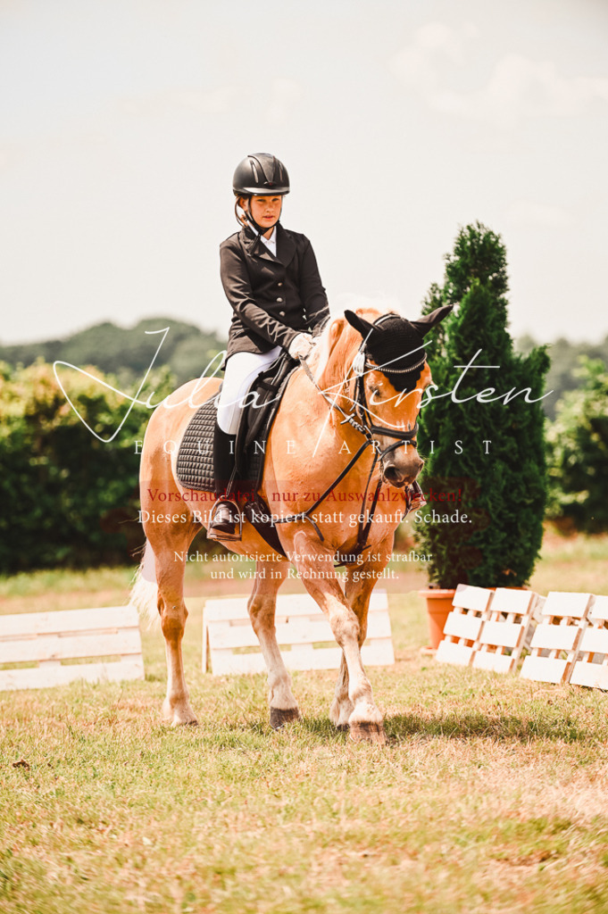 DSC_6368 | Pferde- und Turnierfotografie in Westsachsen. Pferdeportraits, Auftragszeichnungen und intuitive Kunst.