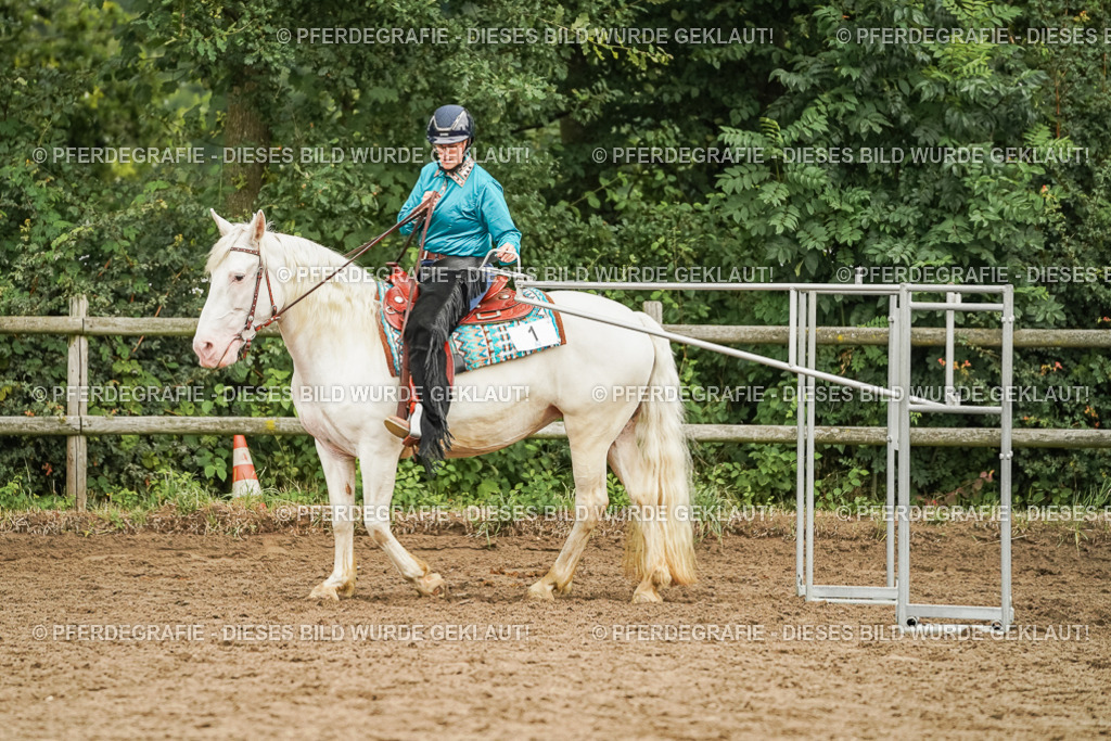 DSC03594 | Pferdegrafie