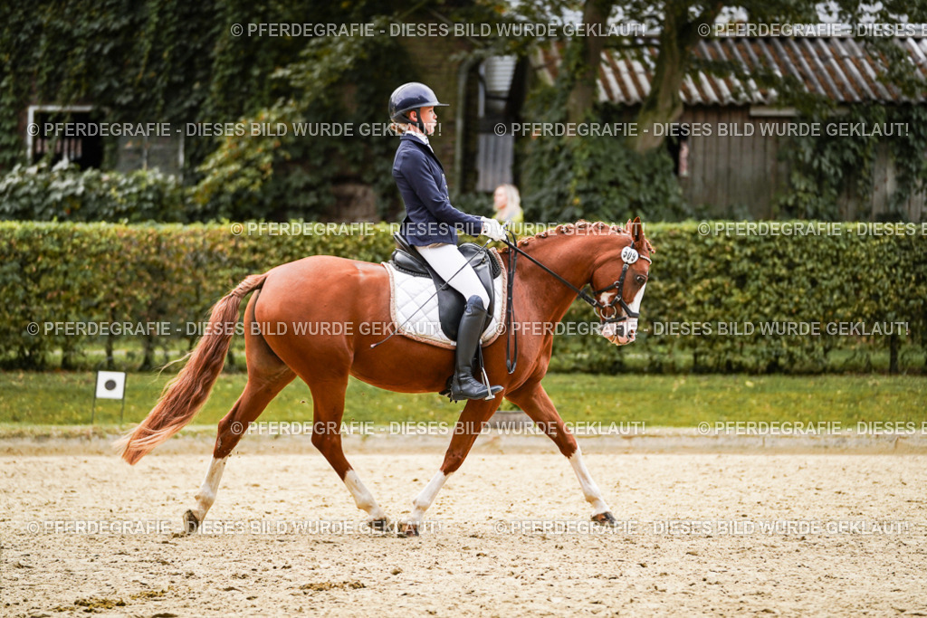 DSC08998 | Pferdegrafie