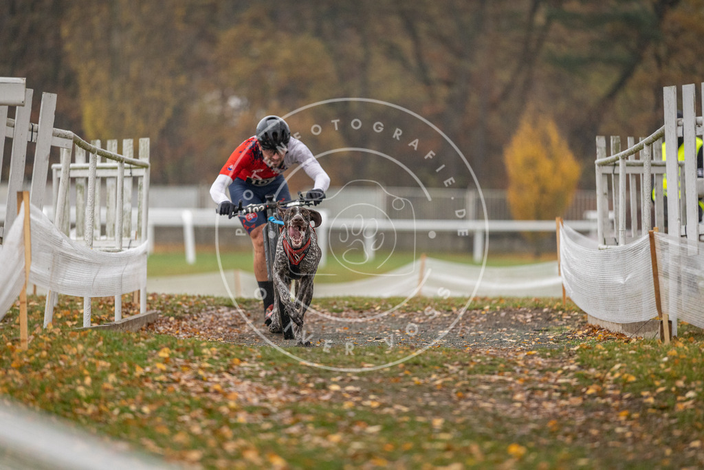 CaniXpix_DV3A7476 | Hundefotografie, Tierfotograf, Pfotenfotografie, Fotoshooting Hund, Hunde Portrait, Hundesport, Hundeportraits, Heideshooting, Hunde, Sportfotograf, Hundefotograf, Turnierhundsport, THS,  - Realisiert mit Pictrs.com