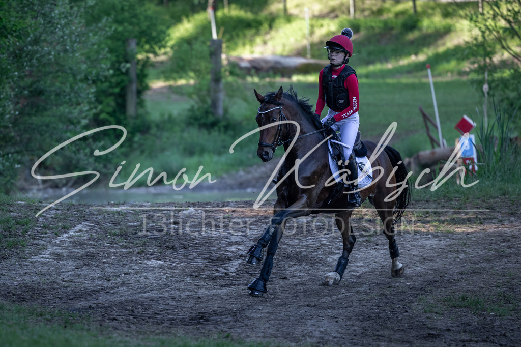 20260523-_3LI5965 | Tierfotografie Pferde, Hunde, Katzen, Haustiere.
Turnierfotografie Reitturniere, Reiten, Springreiten, Dressur in Hanau, dem Main-Kinzig-Kreis und dem Rhein-Main- Gebiet um Frankfurt