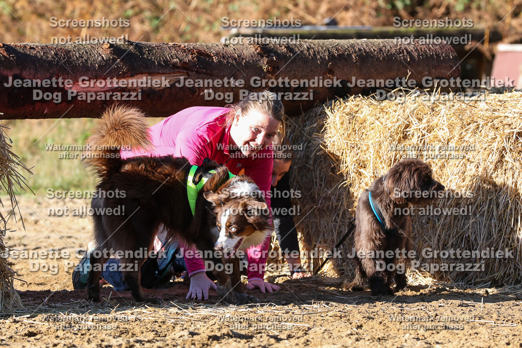 Dog Paparazzi - Strongdog 10-25-1747 | Dog Paparazzi Jeanette Grottendiek Fotografie & Videografie - Realisiert mit Pictrs.com