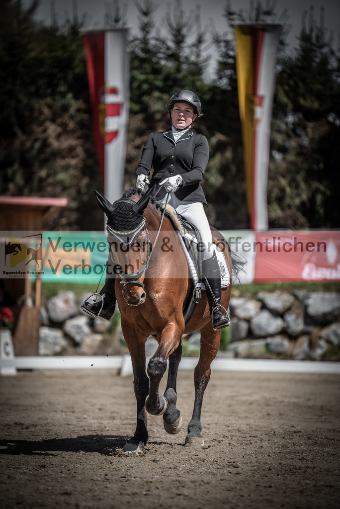 DSC_0565 | equestrian-live-com