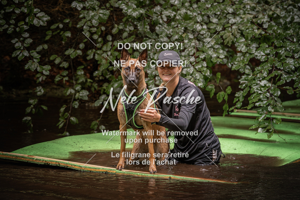 nelerasche_Wingst_Sa1330-1400_84 | nelerasche