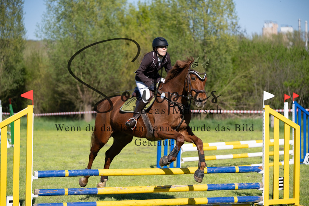 A7V01628 | Pferdefotograf