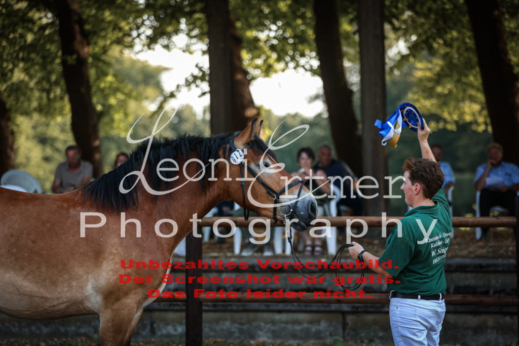 Fr3K00124 | Leoni Ertmer Photography - Realisiert mit Pictrs.com