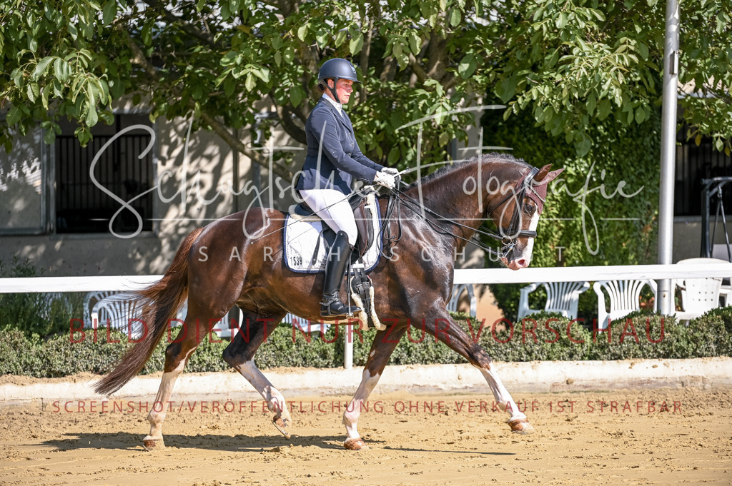 Schugtsche-Aluta25-52.Dressurprf.M2Kand-381 | Schugtsche Fotografie - Realisiert mit Pictrs.com