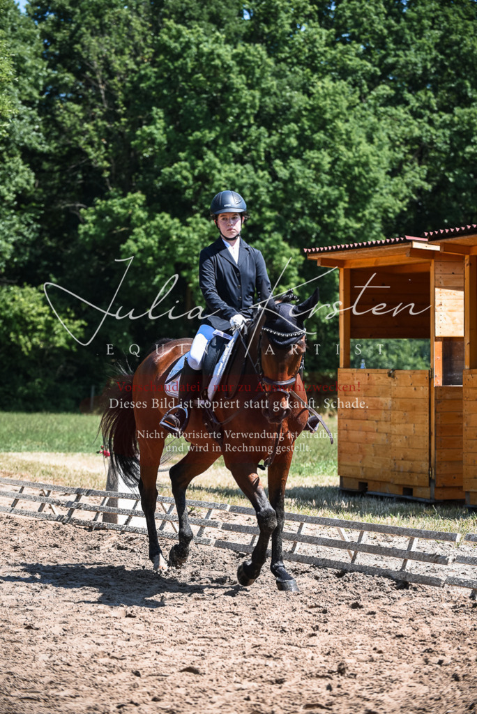 DSC_2761 | Pferde- und Turnierfotografie in Westsachsen. Pferdeportraits, Auftragszeichnungen und intuitive Kunst.