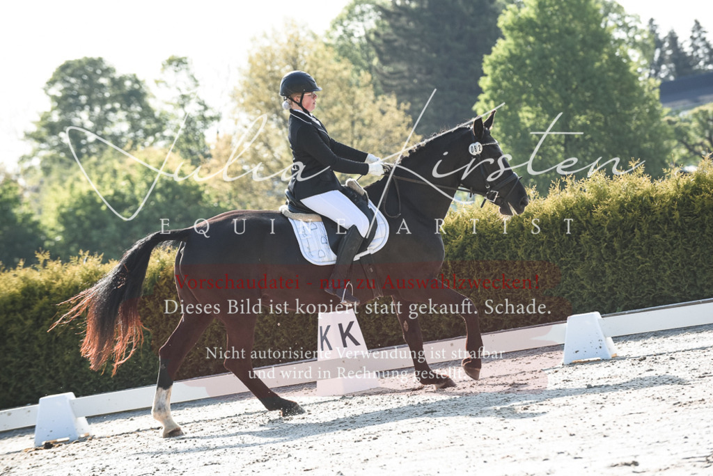 20230518_JK-Röhrsdorf-09-0659 | Pferde- und Turnierfotografie in Westsachsen. Pferdeportraits, Auftragszeichnungen und intuitive Kunst.