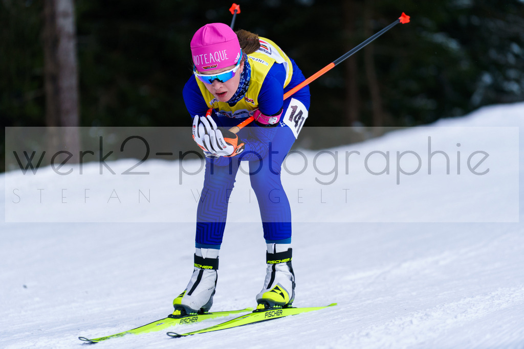 DSC Oberwiesenthal | Vom 19. - 21. Januar fand in der Sparkassen-Skiarena Oberwiesenthal der DSV E.INFRA Schülercup Biathlon statt.