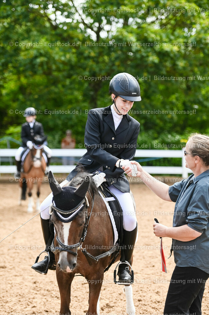 20230716_10-2_Reiter-WB Schritt - Trab - Galopp_0203 | equistock