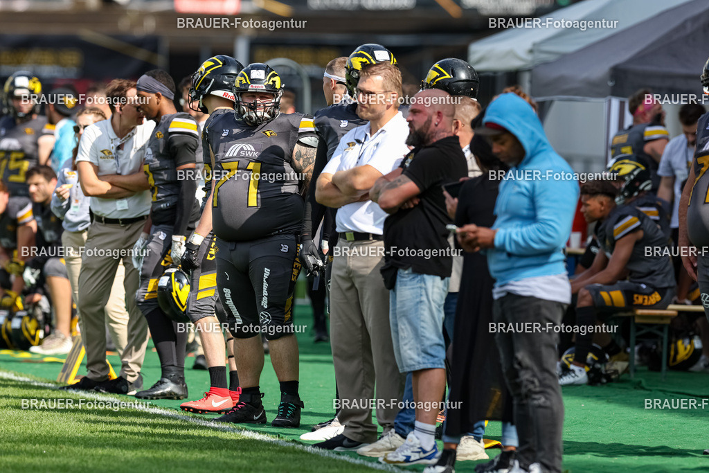 097_Ravens_20230827_1439 | BRAUER-Fotoagentur