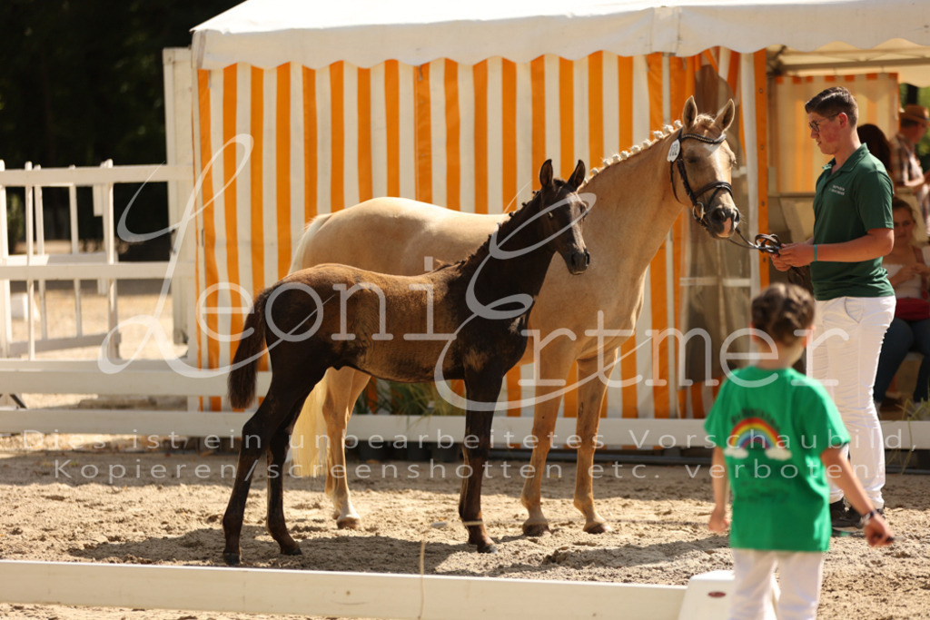 08.DoRPS00041 | Leoni Ertmer Photography - Realisiert mit Pictrs.com