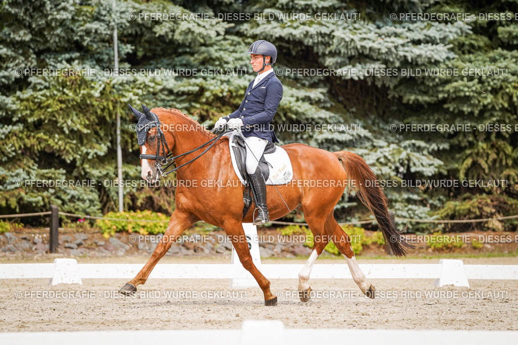 DSC06921 | Pferdegrafie