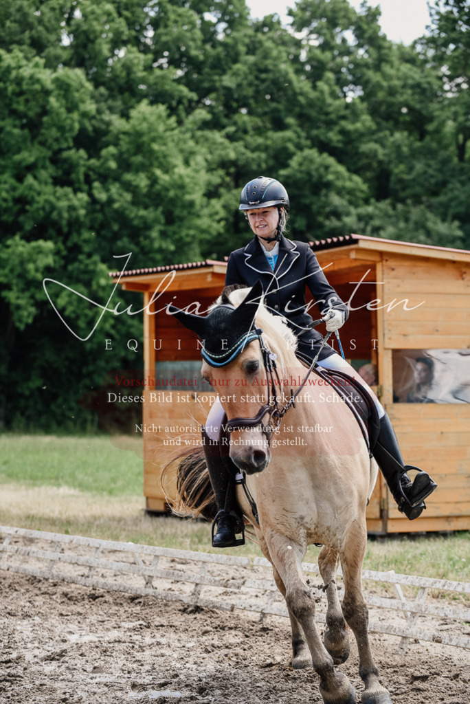 DSC_1628 | Pferde- und Turnierfotografie in Westsachsen. Pferdeportraits, Auftragszeichnungen und intuitive Kunst.