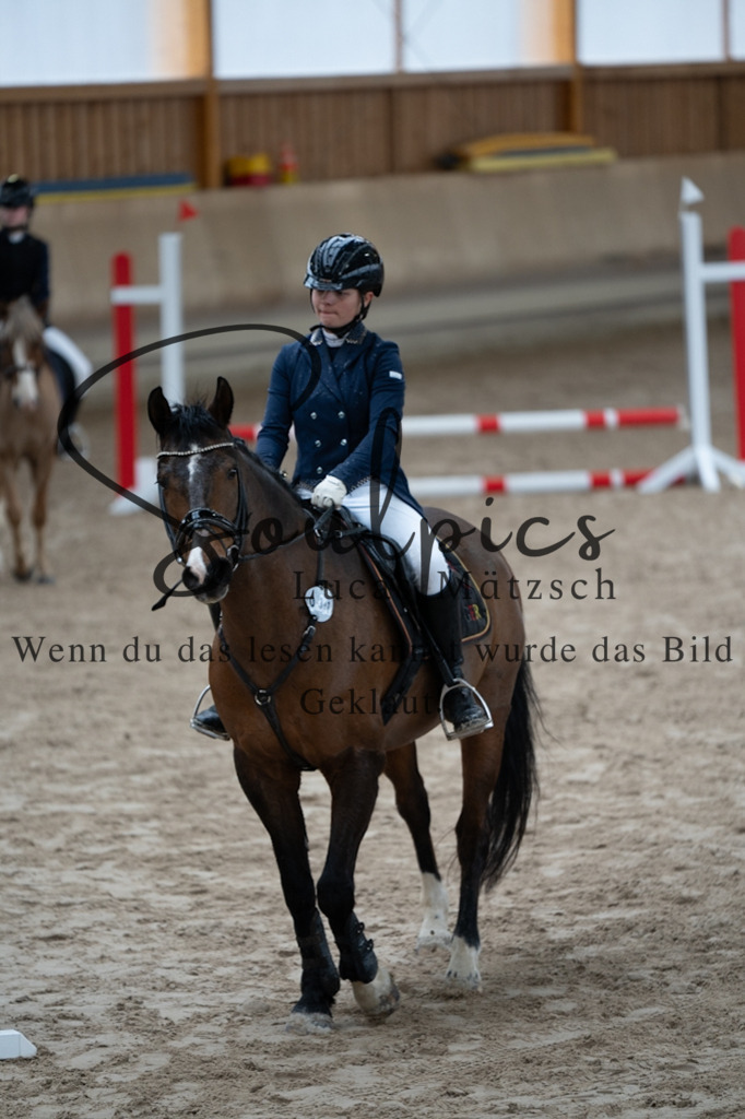 A7V09955 | Pferdefotograf