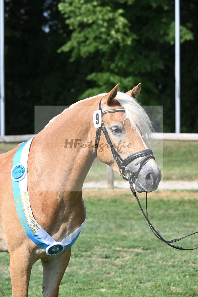 Kat-Nr. 9 Giorgia G_Grandauer_20231775 | hf-fotografie - Realisiert mit Pictrs.com