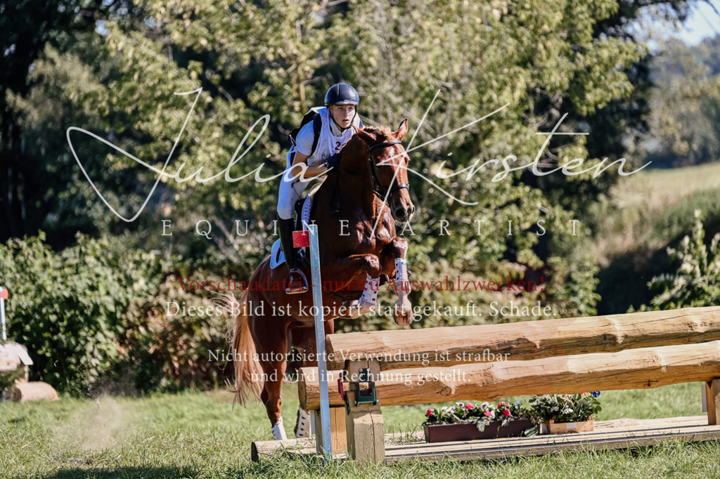 DSC_1362 | Pferde- und Turnierfotografie in Westsachsen. Pferdeportraits, Auftragszeichnungen und intuitive Kunst.