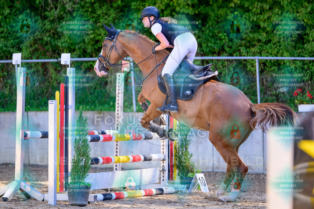 29082026-Giesenbach-Prfg10-0108 | Fokus Hufschlag Fotografie - Realisiert mit Pictrs.com