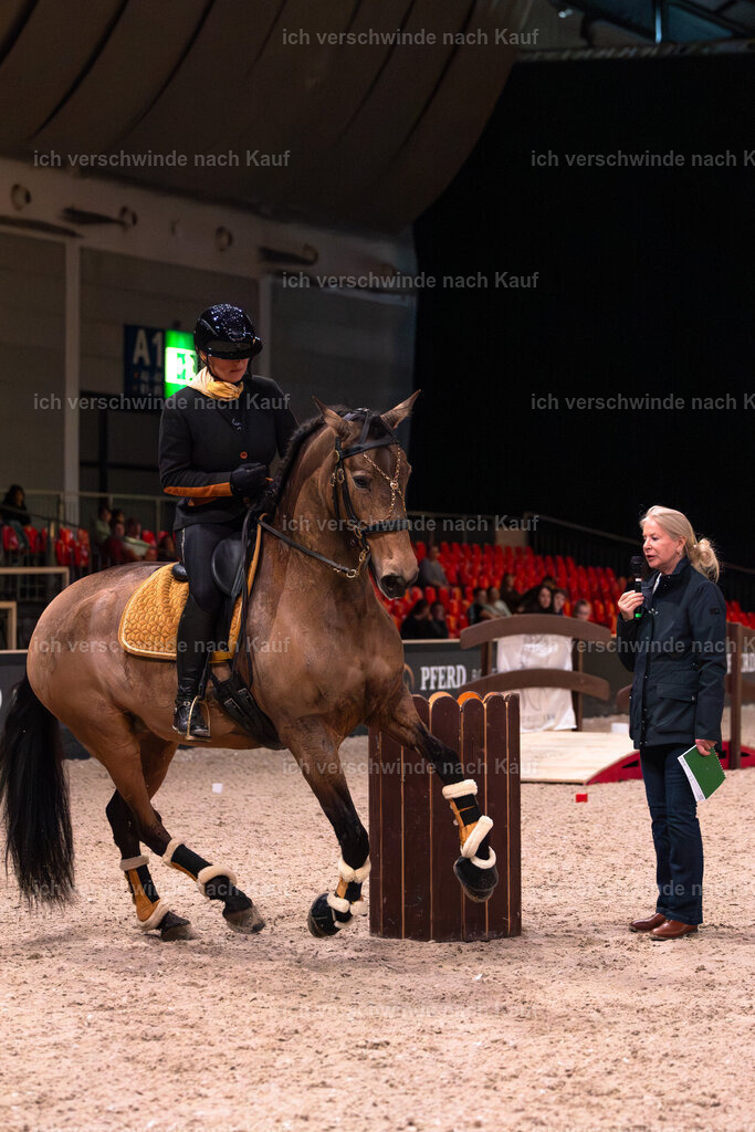 JoseraCup-52 | working equitationturnier fotograf videograf stoibphotography marixx film working equitation deutschland reitsport turnierfotografie eventfotografie equestrian events