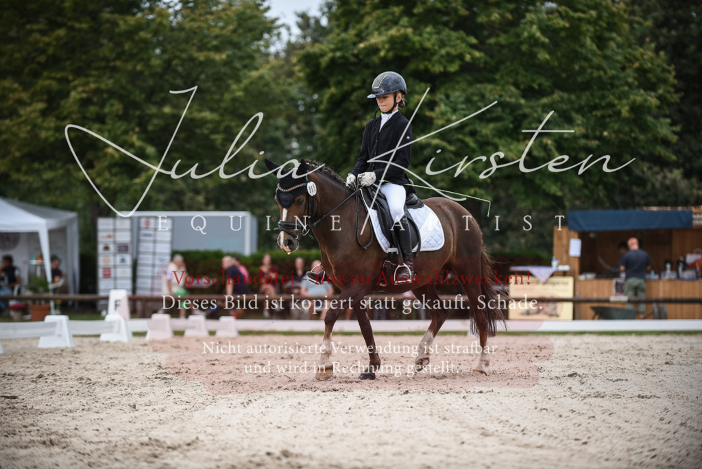 DSC_8128 | Pferde- und Turnierfotografie in Westsachsen. Pferdeportraits, Auftragszeichnungen und intuitive Kunst.