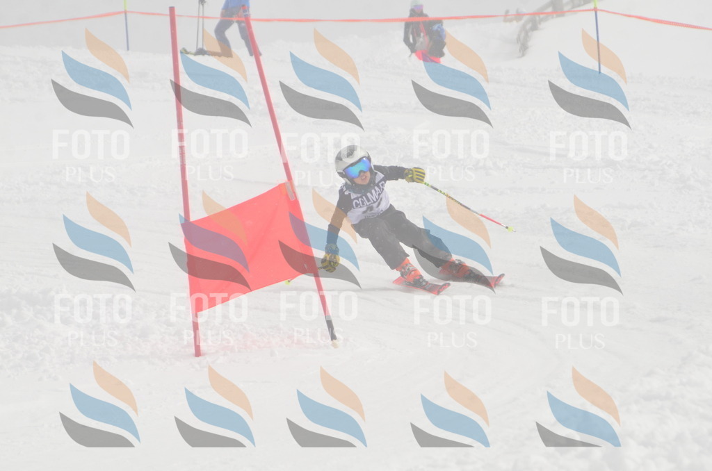 A5347 | holidayphoto