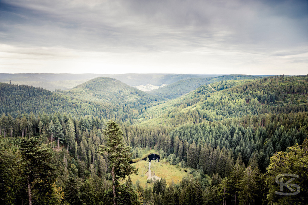 Panoramablick vom Ellbachseeblick auf den Ellbachsee und Schwarzwald | Ein atemberaubender Panoramablick von der Aussichtsplattform Ellbachseeblick in Baiersbronn. Das Bild fängt die weite Waldlandschaft des Schwarzwalds ein, mit dem kleinen, dunklen Ellbachsee in der Mitte und hügeligem Gelände unter einem bewölkten Himmel. Es vermittelt die Ruhe und Schönheit der Natur. - Realisiert mit Pictrs.com