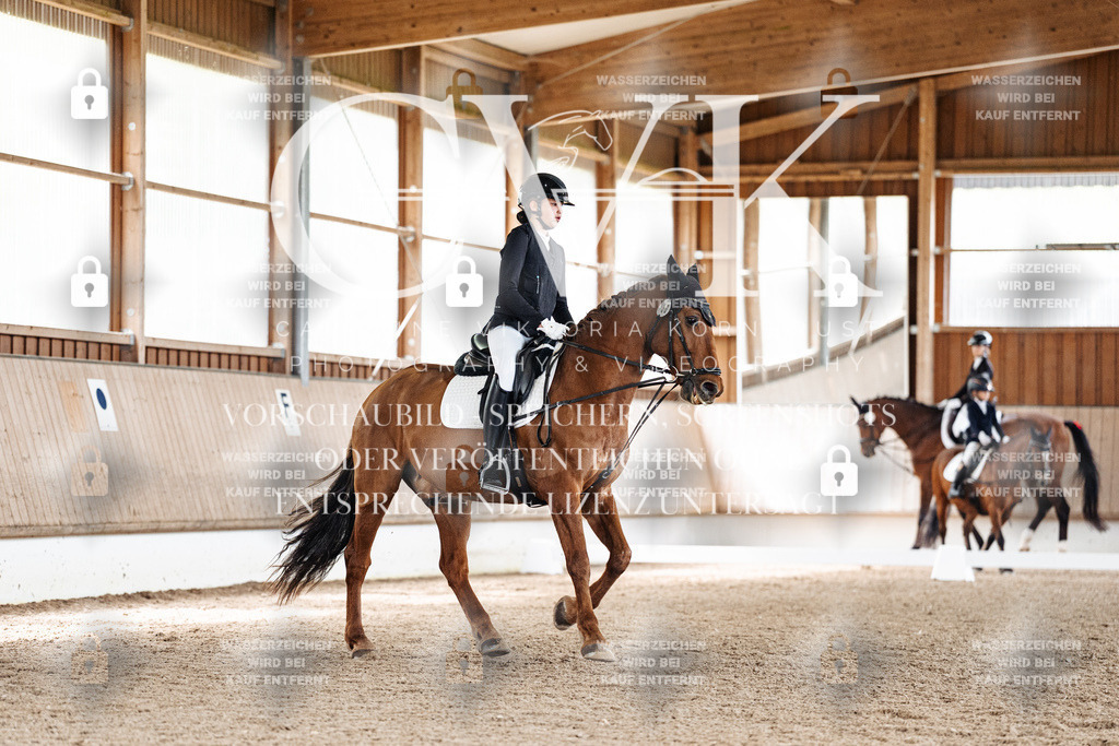 CK900655 | Turnierfotografie Pferdefotografie Trier Rheinland-Pfalz Pferdesport Reitsport Tierfotografie Sportfotografie Pferdevideo Pferdevideografie Equestrianvideography equestrianphotography  - Realisiert mit Pictrs.com