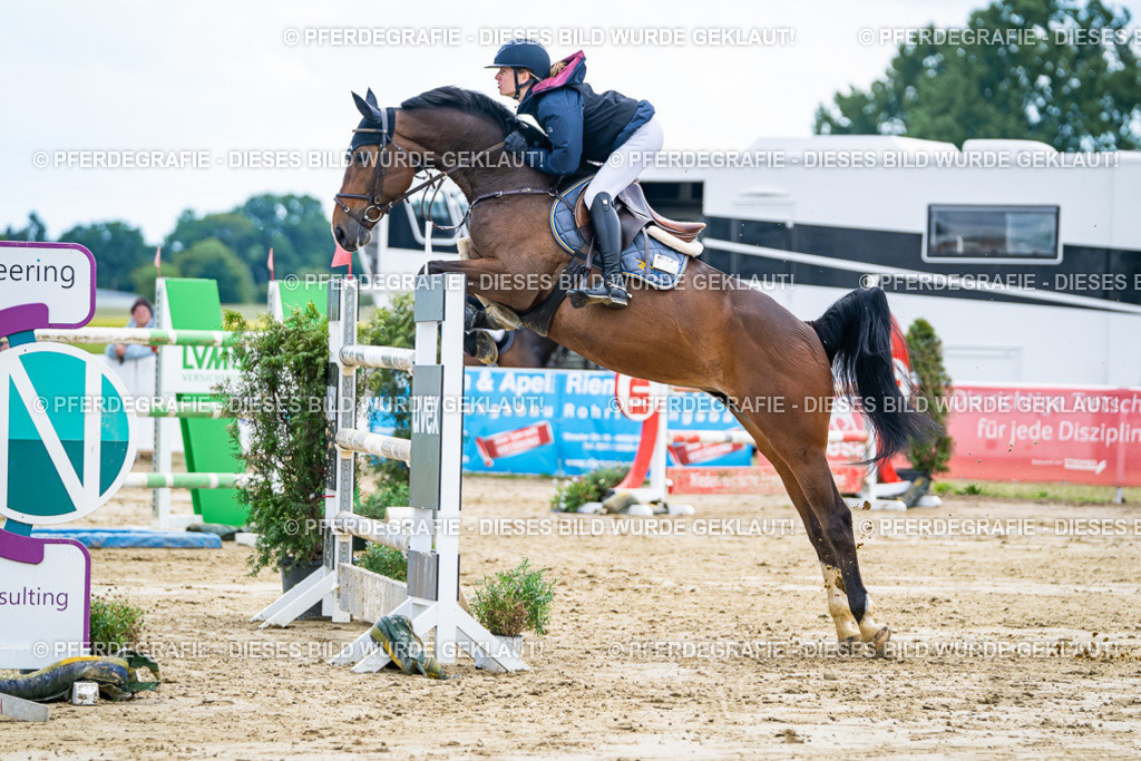 DSC05579 | Pferdegrafie