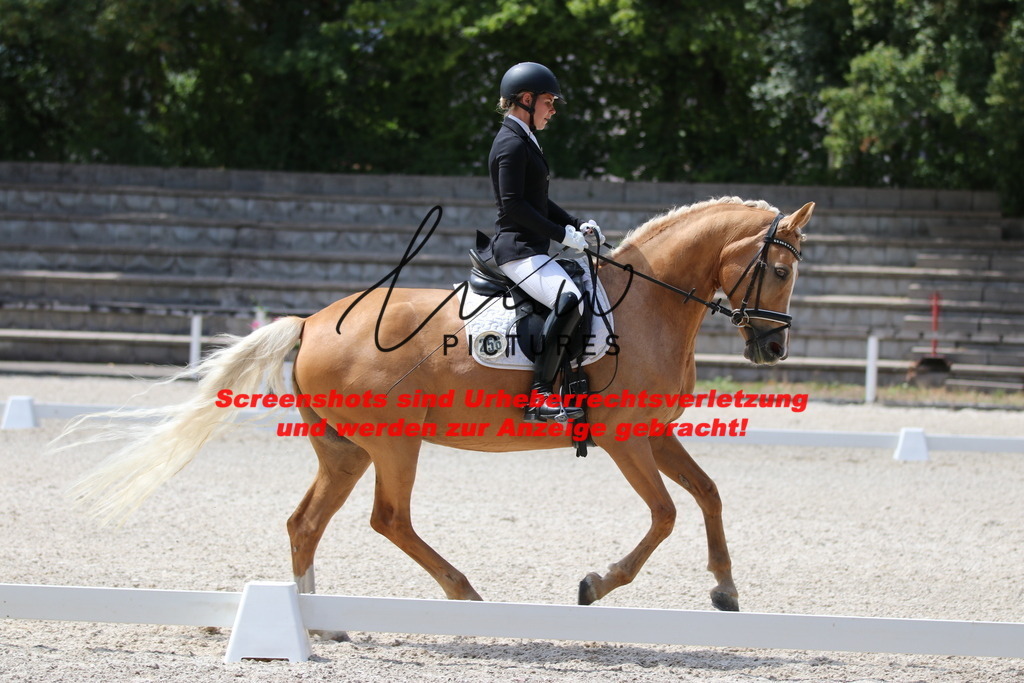 IMG_4632 | lmwpictures - Realisiert mit Pictrs.com