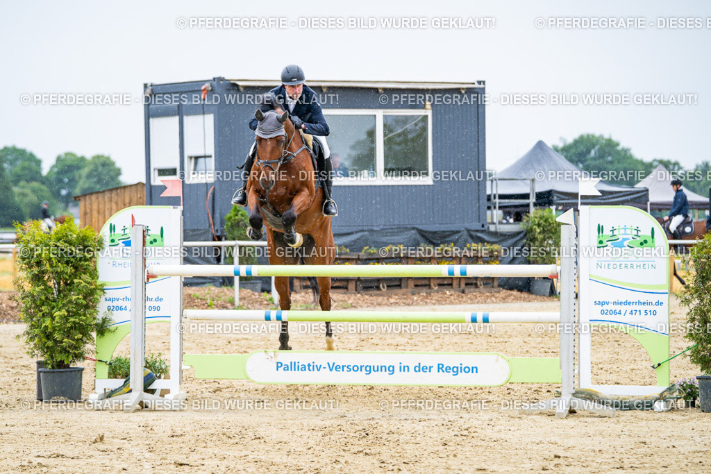 DSC07161 | Pferdegrafie