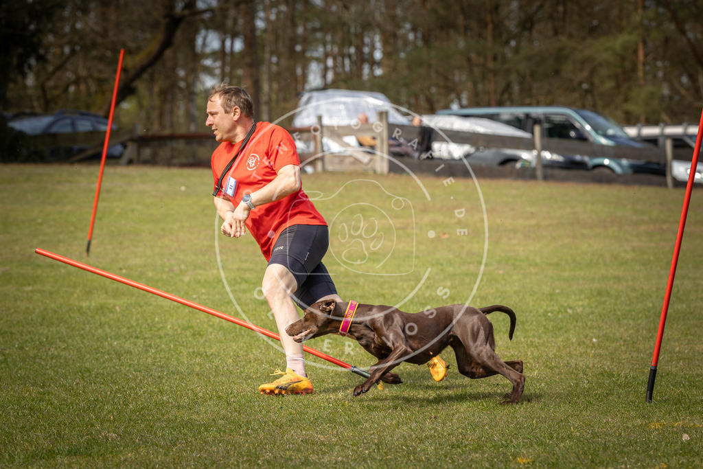 Pfotenfotografie_DV3A7095 | Hundefotografie, Tierfotograf, Pfotenfotografie, Fotoshooting Hund, Hunde Portrait, Hundesport, Hundeportraits, Heideshooting, Hunde, Sportfotograf, Hundefotograf, Turnierhundsport, THS,  - Realisiert mit Pictrs.com