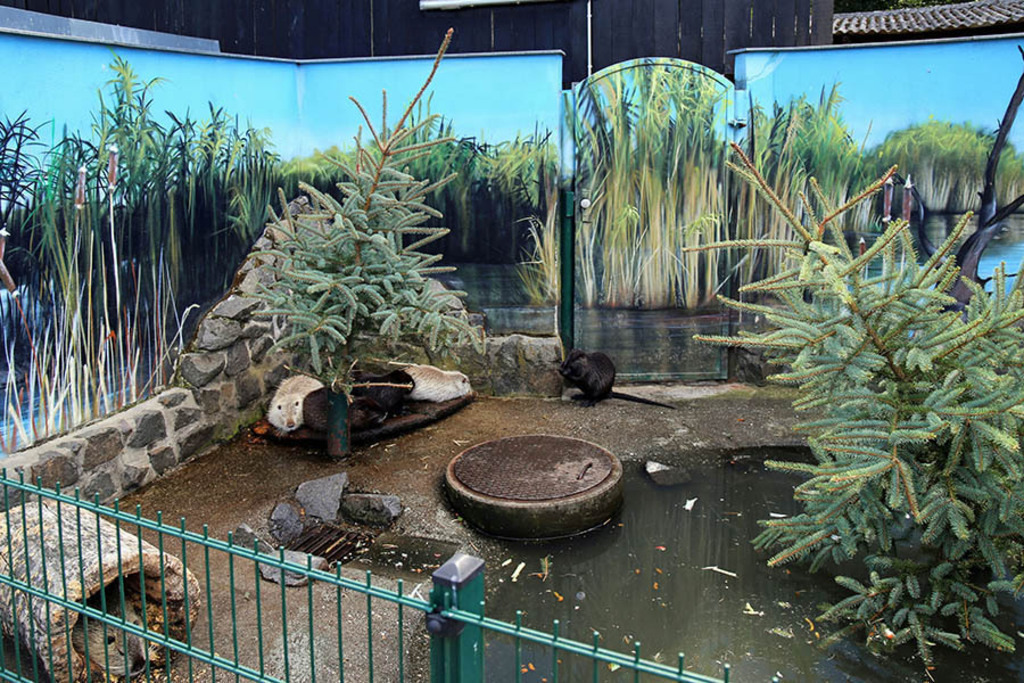 Foto: Leipzig - Haustierfarm im Wildpark Leipzig | Das Team hinter BILDLEXIKON LEIPZIG bündelt historische wie aktuelle Informationen über die Stadt Leipzig in Text und Bild auf einer Plattform und stellt diese der interessierten Öffentlichkeit zur Verfügung.