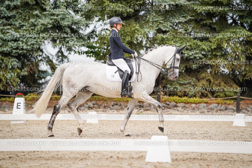 DSC07719 | Pferdegrafie