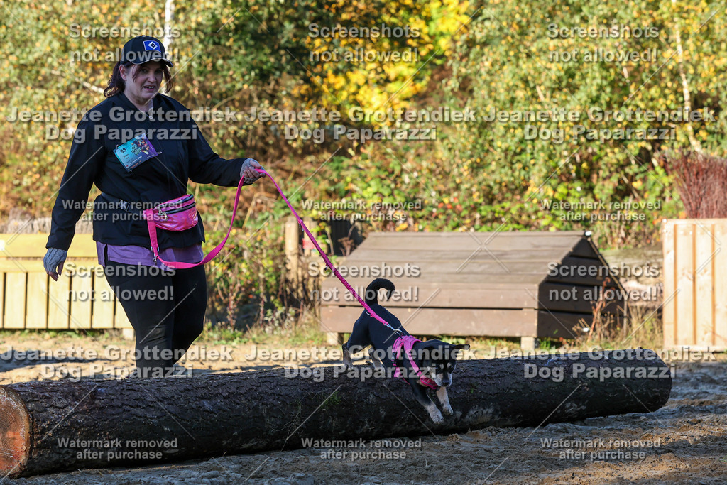 Dog Paparazzi - Strongdog 10-25-1006 | Dog Paparazzi Jeanette Grottendiek Fotografie & Videografie - Realisiert mit Pictrs.com