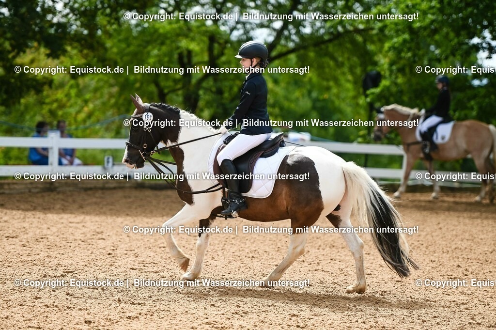 20230716_10-2_Reiter-WB Schritt - Trab - Galopp_0173 | equistock