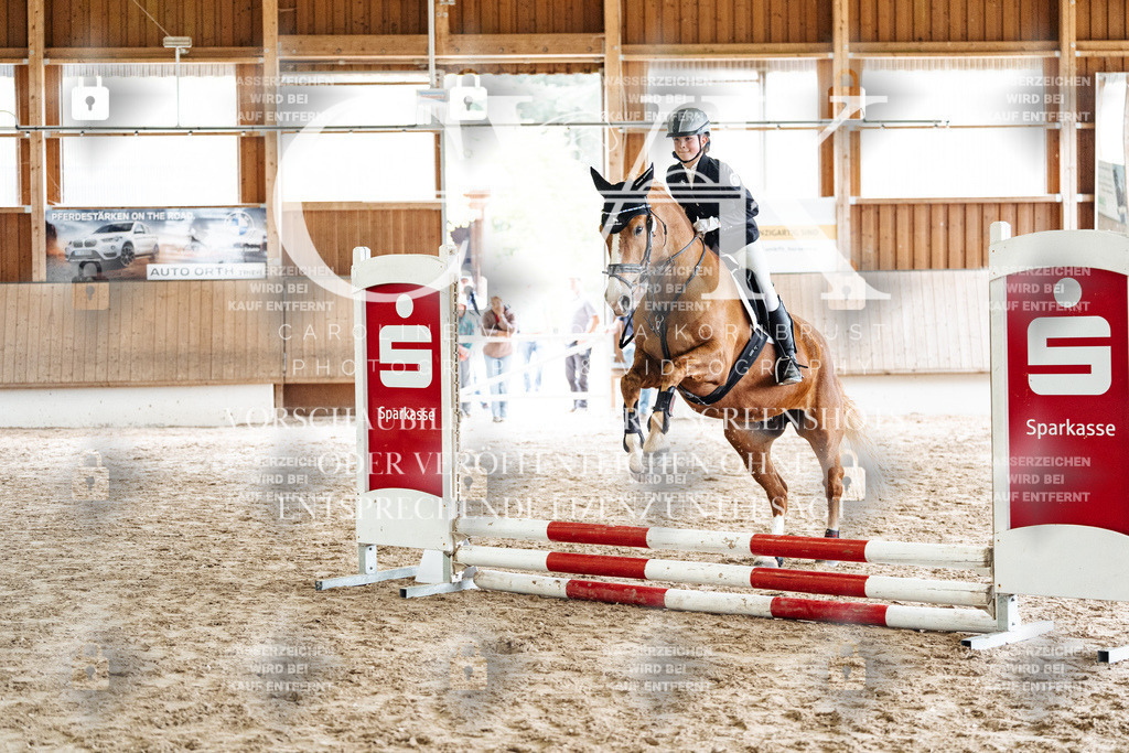 CK902527 | Turnierfotografie Pferdefotografie Trier Rheinland-Pfalz Pferdesport Reitsport Tierfotografie Sportfotografie Pferdevideo Pferdevideografie Equestrianvideography equestrianphotography  - Realisiert mit Pictrs.com
