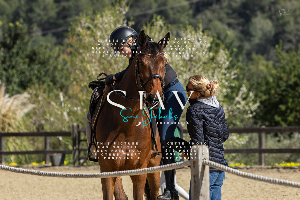 IMG_6617 | s-jay-photography - Realisiert mit Pictrs.com