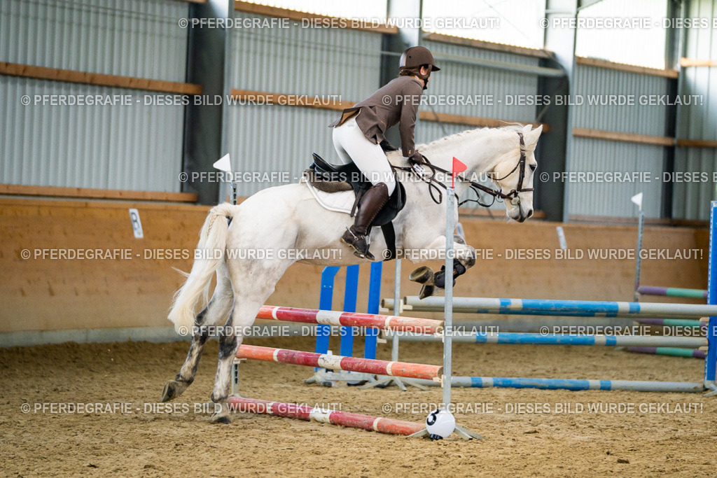 DSC00671 | Pferdegrafie