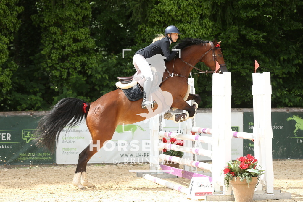 DL2Q5209 | Willkommen bei Brunnmayr - Design & Fotografie – Ihrem Spezialisten für Reitturniere und Pferdeveranstaltungen in Oberösterreich, Salzburg und Bayern! Seit über 17 Jahren sind wir leidenschaftlich dabei.