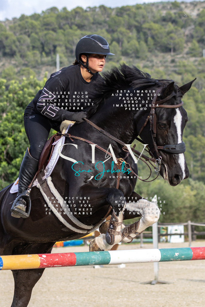 IMG_4543 | s-jay-photography - Realisiert mit Pictrs.com