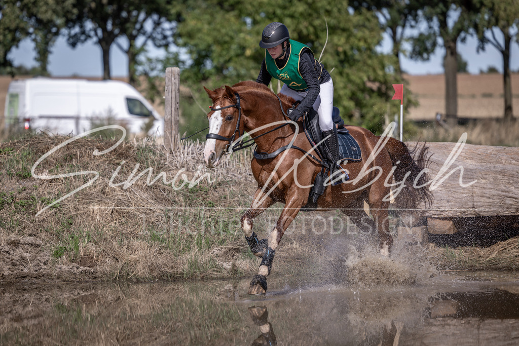 20260906-_3LI6156 | Tierfotografie Pferde, Hunde, Katzen, Haustiere.
Turnierfotografie Reitturniere, Reiten, Springreiten, Dressur in Hanau, dem Main-Kinzig-Kreis und dem Rhein-Main- Gebiet um Frankfurt