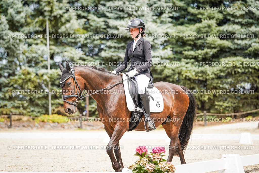 DSC04122 | Pferdegrafie