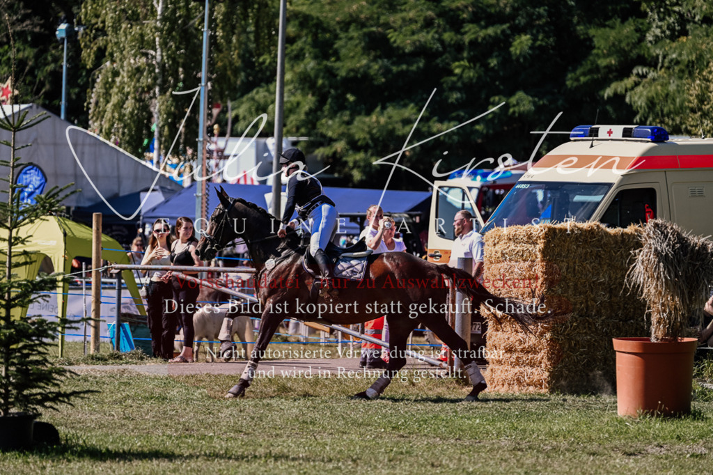 DSC_1836 | Pferde- und Turnierfotografie in Westsachsen. Pferdeportraits, Auftragszeichnungen und intuitive Kunst.