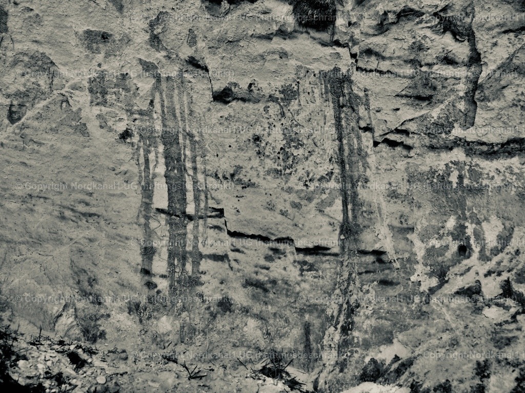 IMG_2888 | OLYMPUS DIGITAL CAMERA          - Realisiert mit Pictrs.com