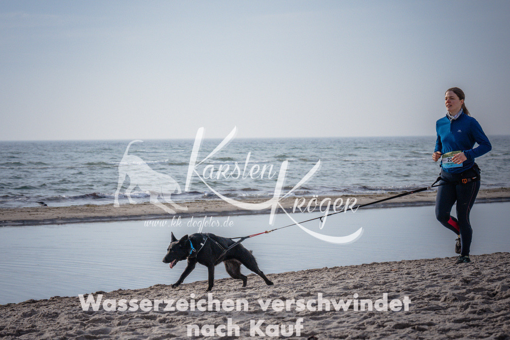 1011_ZZ94085 | kk-dogfotos