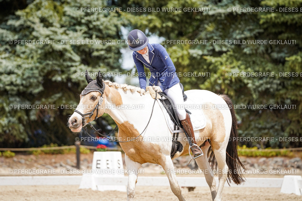 DSC03732 | Pferdegrafie