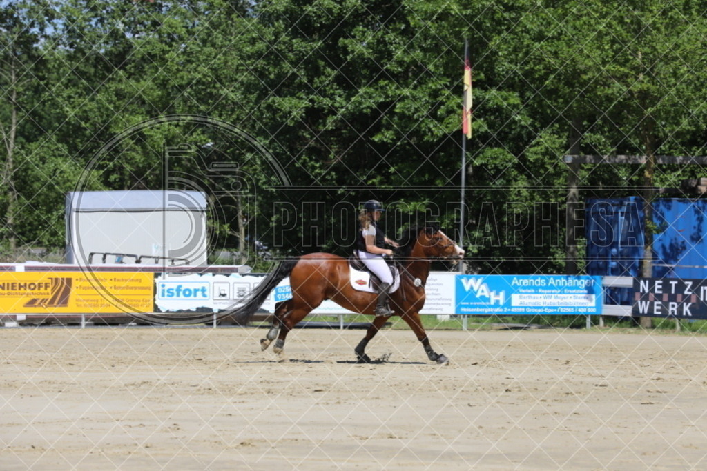 IMG_5119 | photographesa-joergens - Realisiert mit Pictrs.com