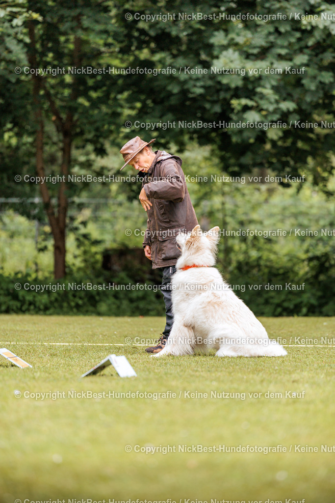 RO-Blumenthal-2026-Nickbest-Hundefotografie-1599 | Dein Hund! Dein Moment! Deine Erinnerungen! Hundefotografie in Bremen Blumenthal. Ich fange die besonderen Momente deines Vierbeiners ein – ob Indoor mit Blitzanlage oder in der freien Natur. Sicher dir dein Moment und dein Termin für eure Erinnerungen.